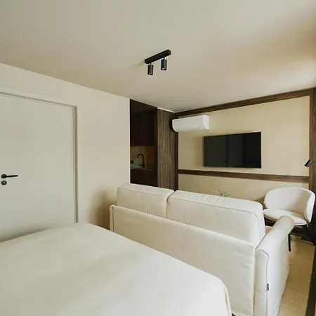 Suite With Sofa Bed Lejlighed